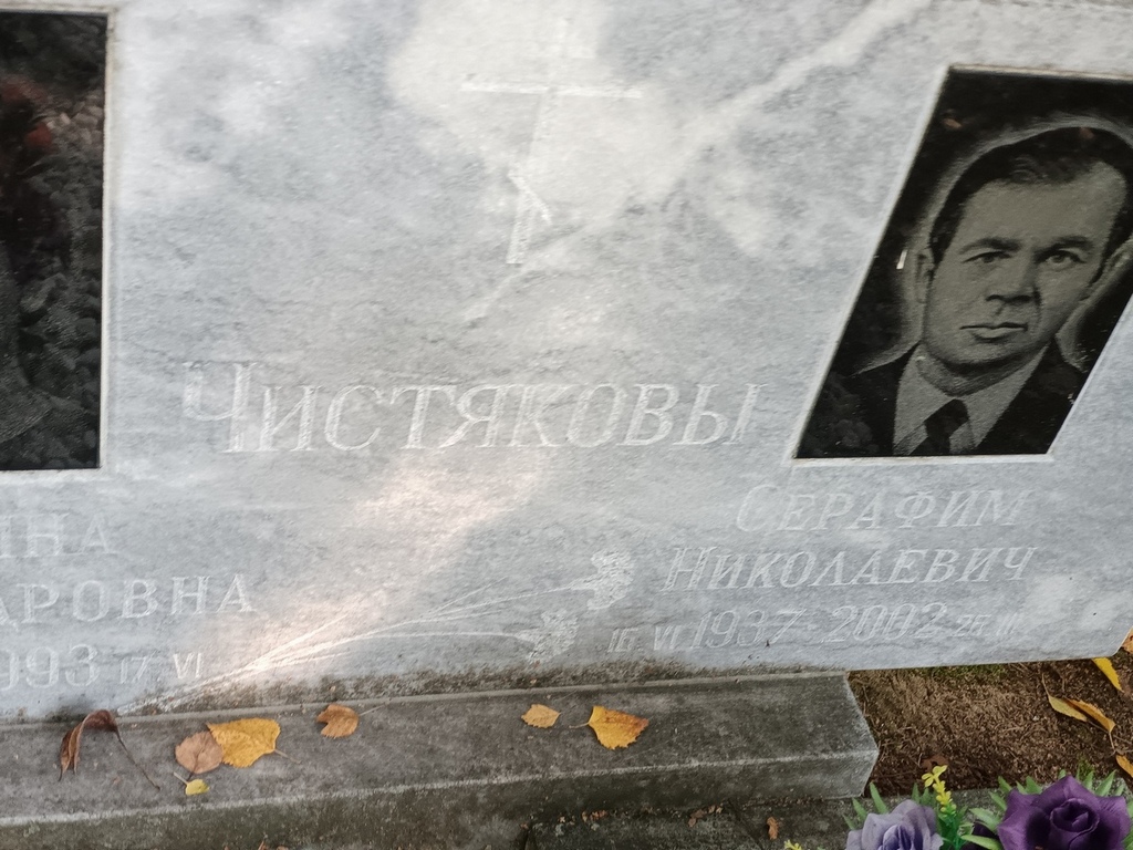 Чистякова Альбина Александровна