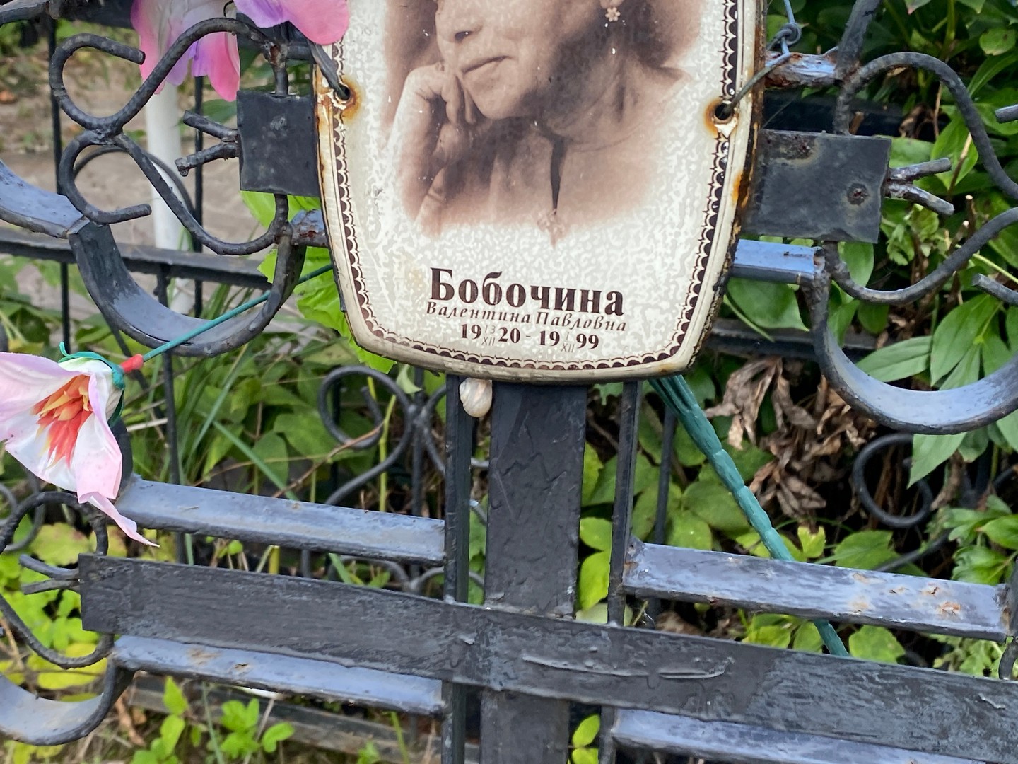 Бобочина