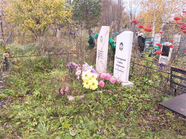 Гончарова Софья Андреевна