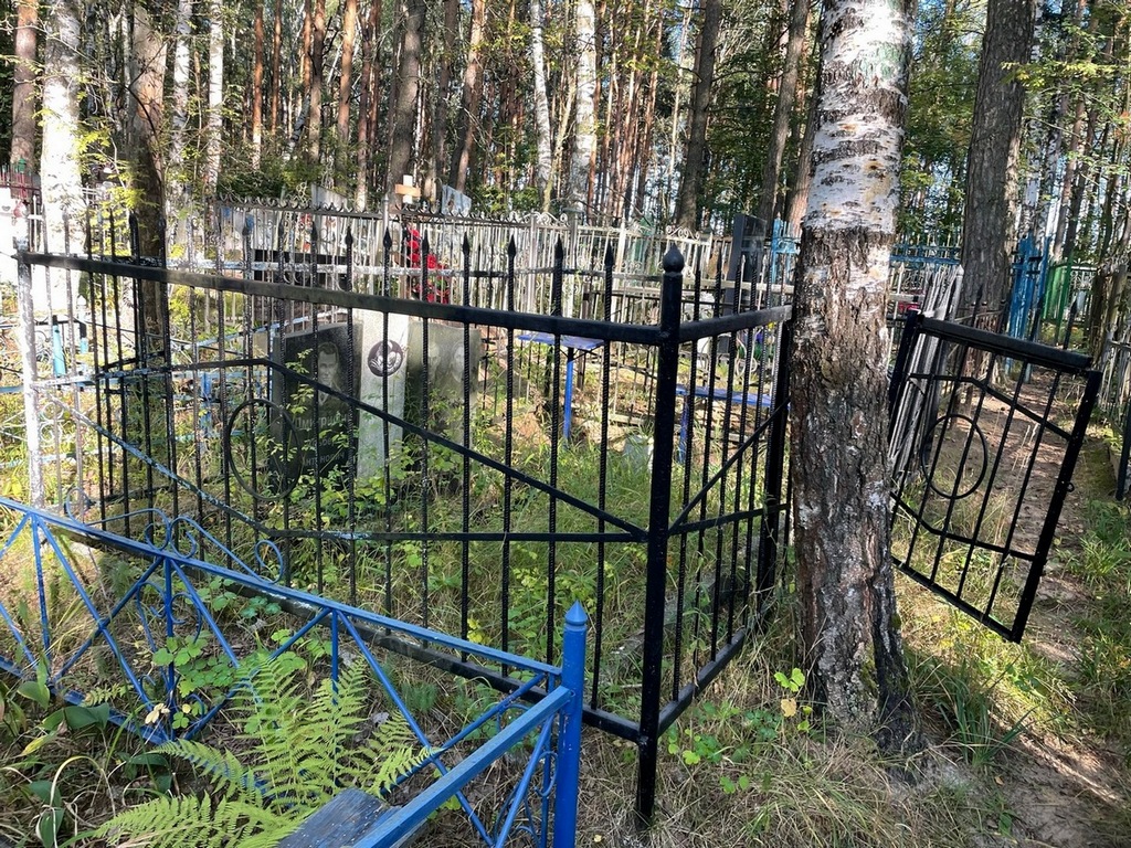 Дмитришин Альберт Антонович