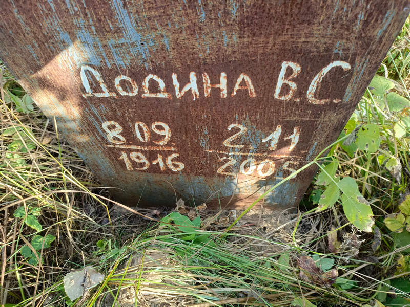 В Додина С