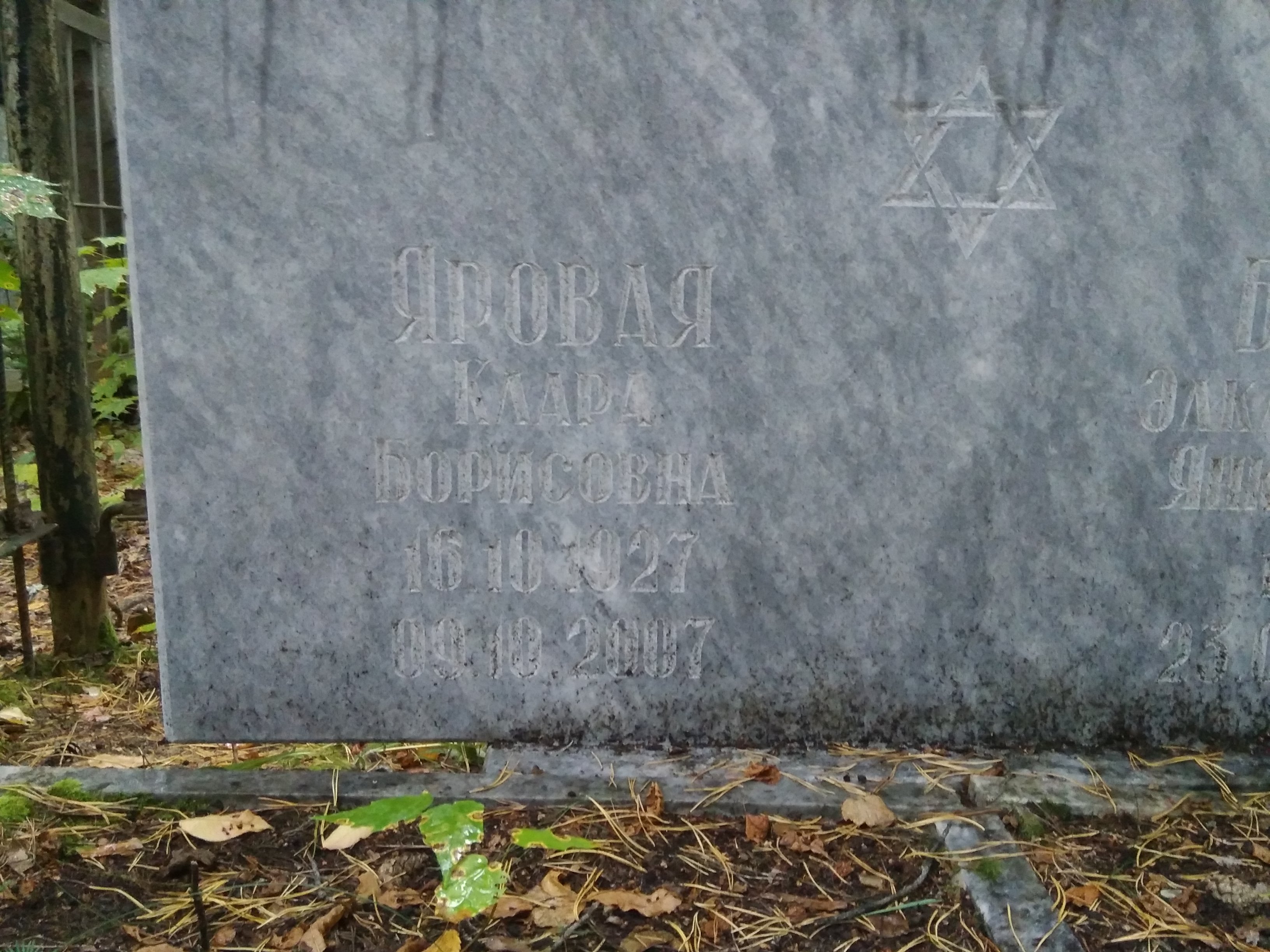 Яровая Клара Борисовна