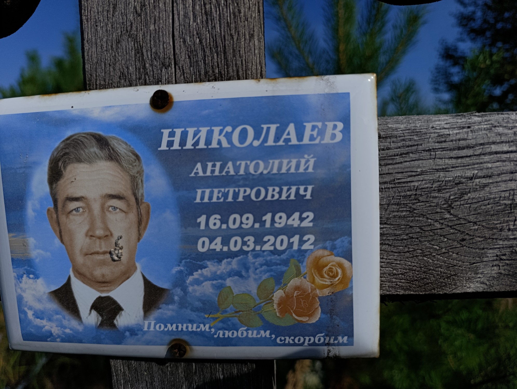 Николаев Анатолий Петрович