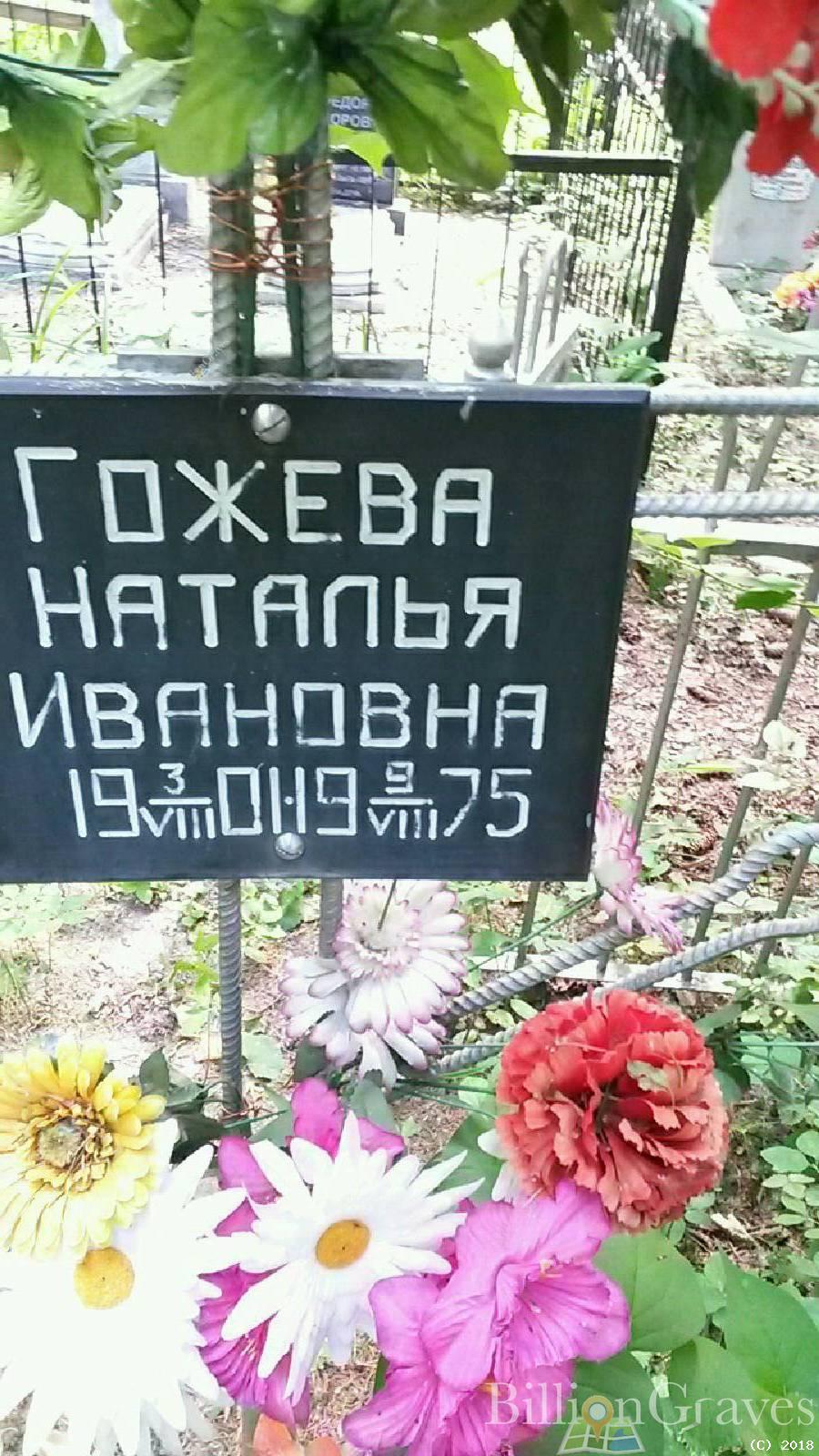 гожев александр иванович