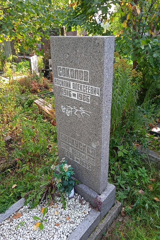Соколов Василий Алексеевич