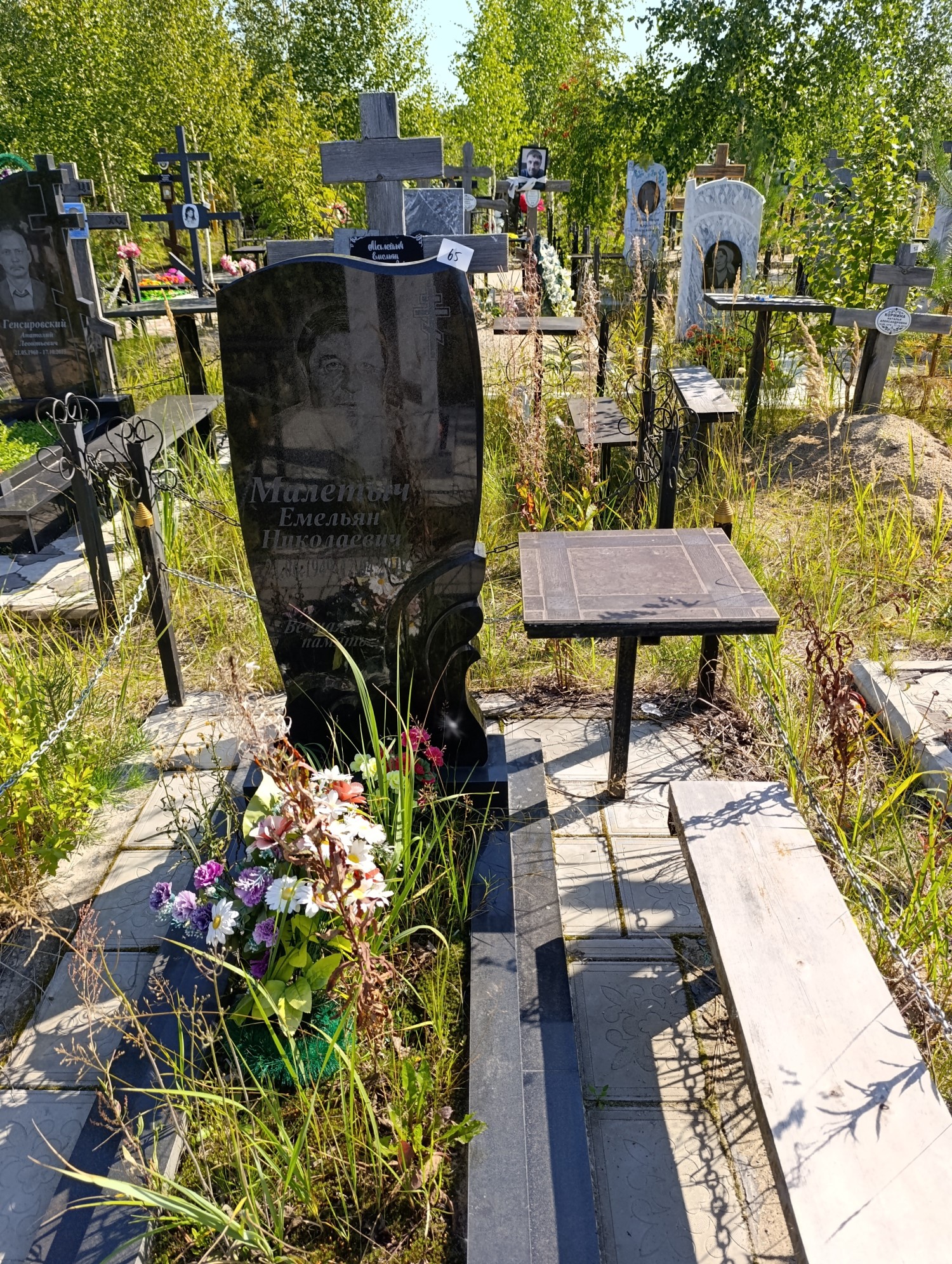 Малетыч Емельян Николаевич