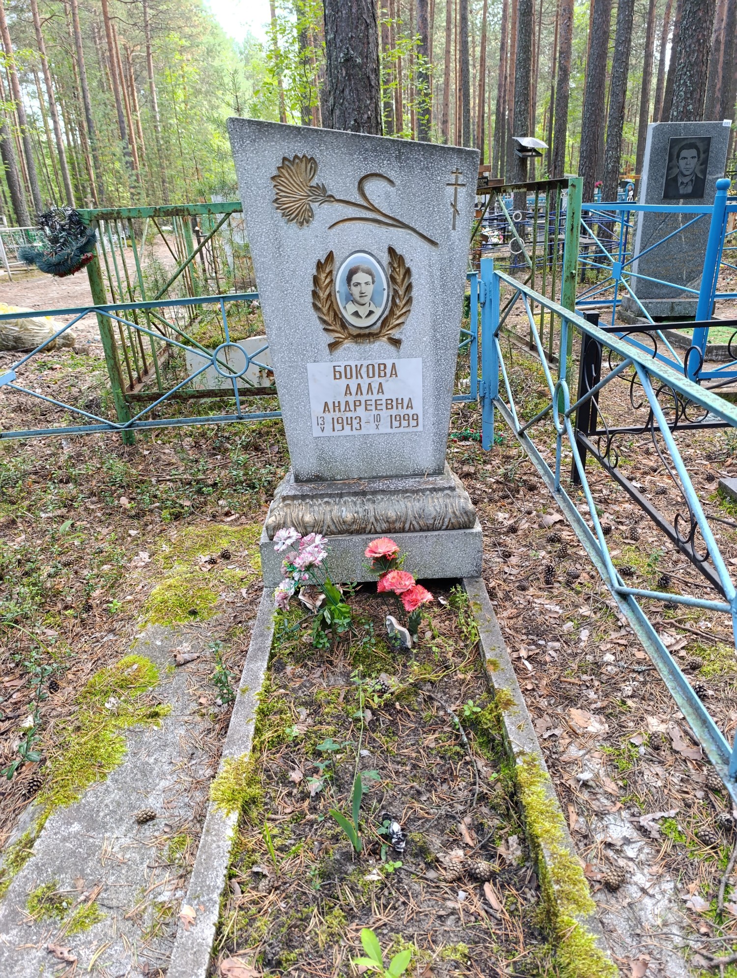 Бокова Алла Андреевна