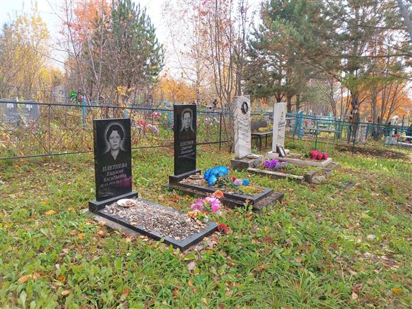 Плетнев Дмитрий Иванович