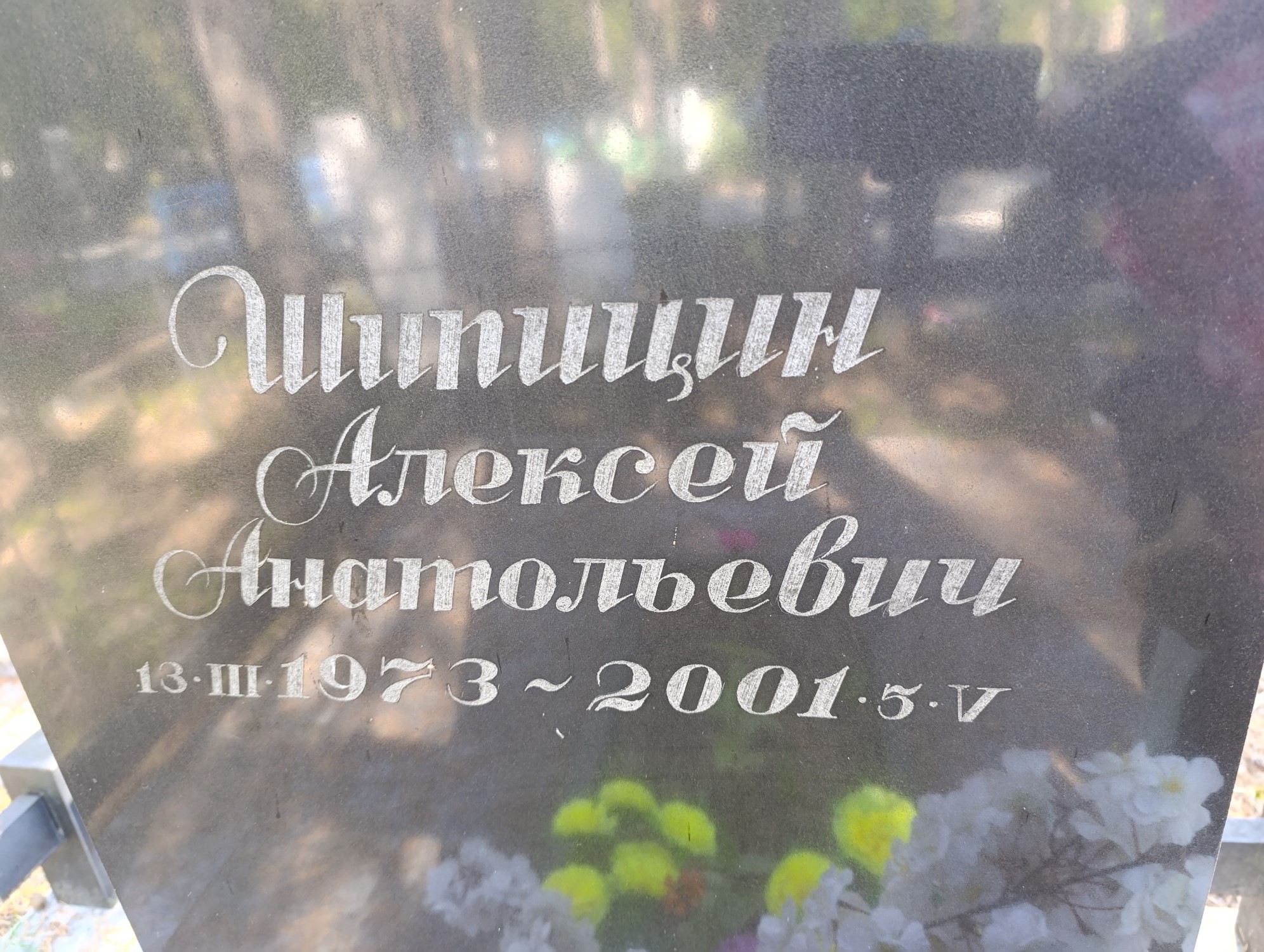 Шипицин Алексей Анатольевич