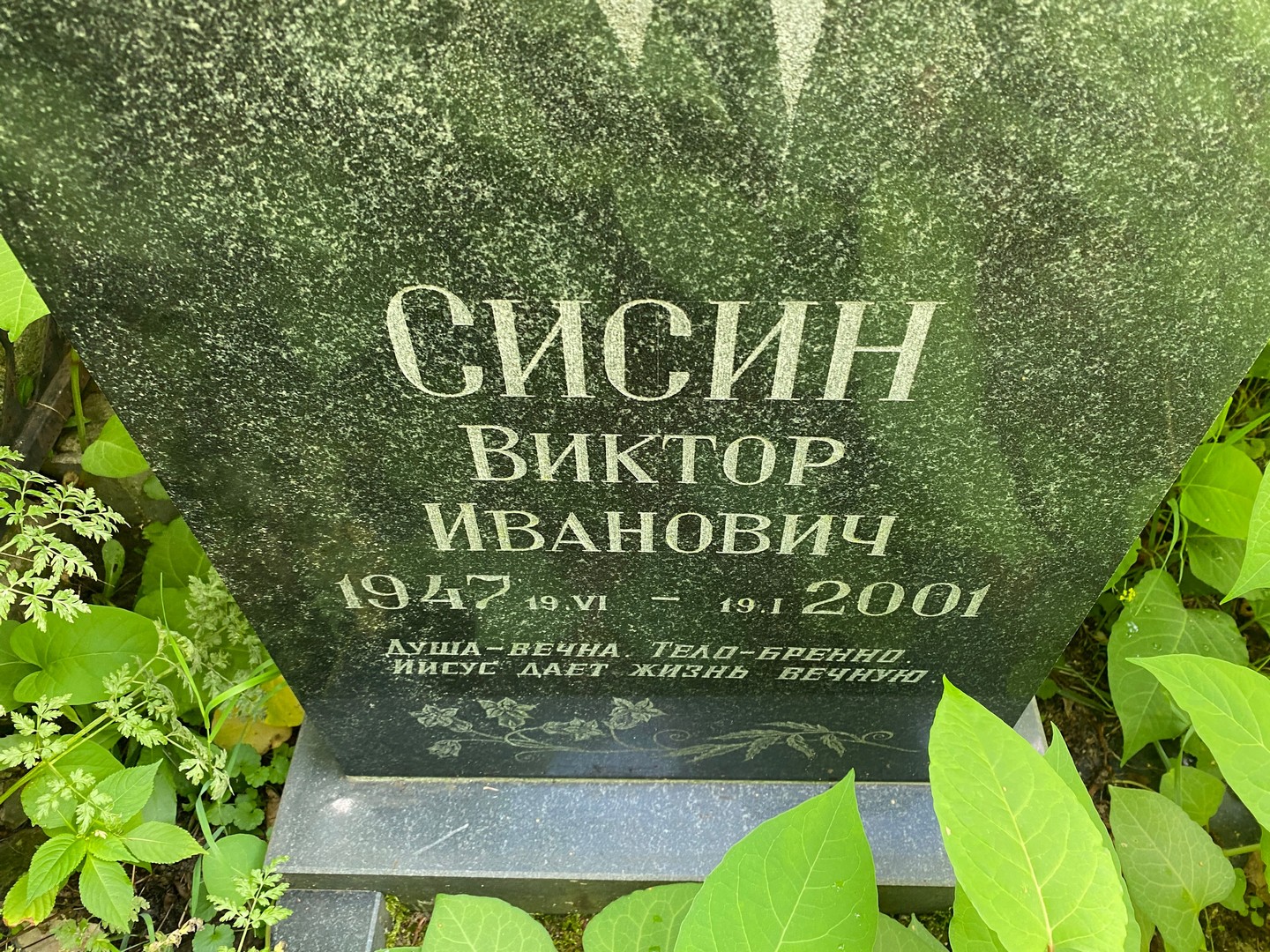 Сисин