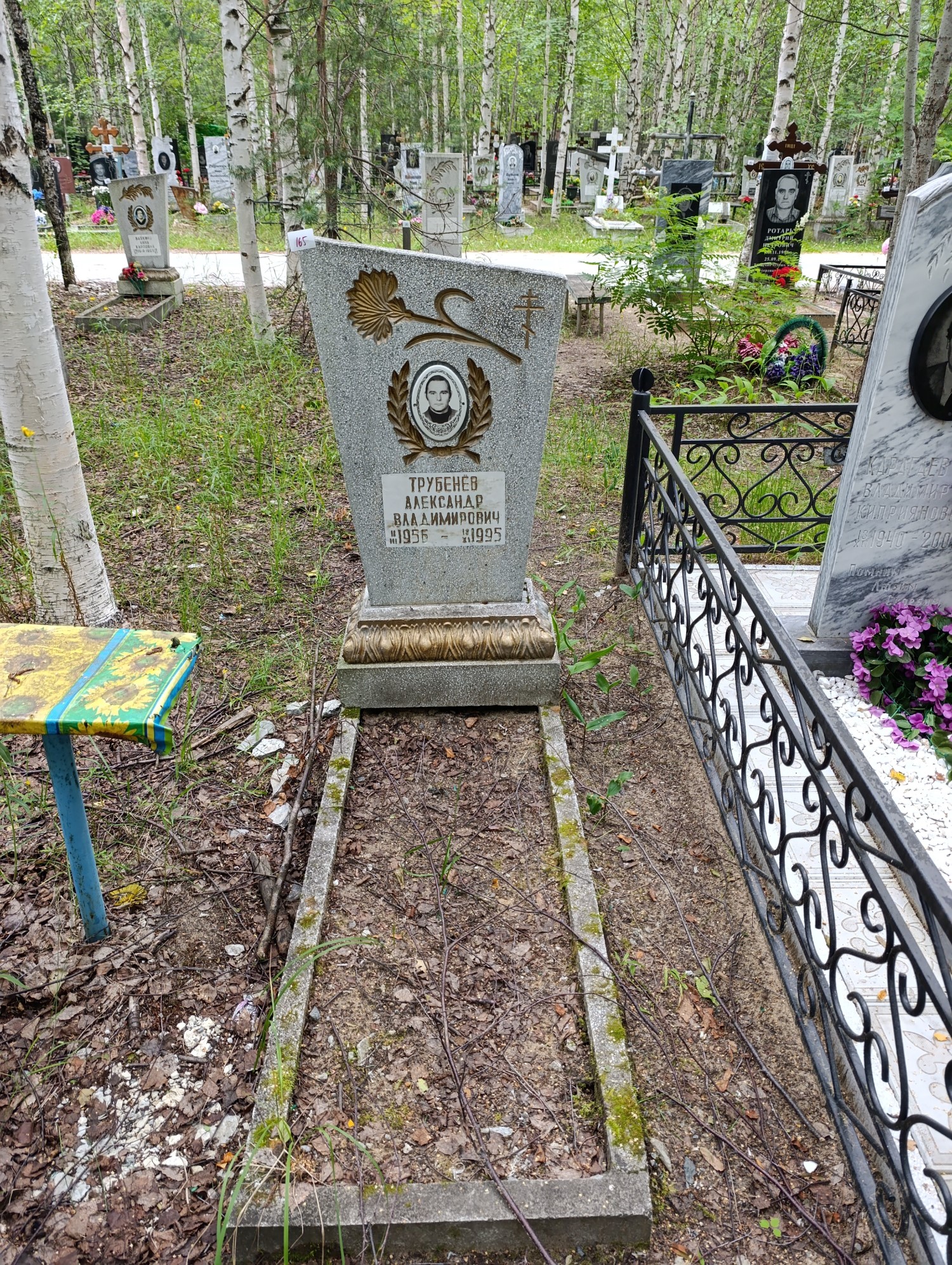 Трубенев Александр Владимирович