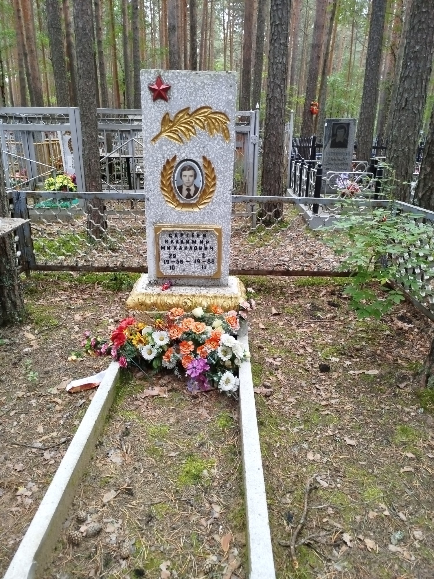 Сергеев Владимир Михайлович