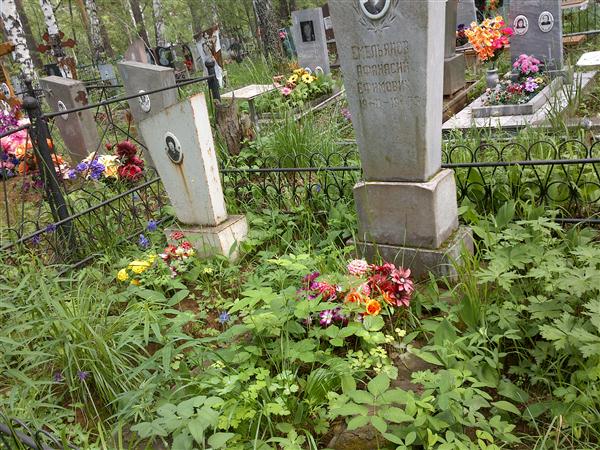 Емельянов Афанасий Ефимович