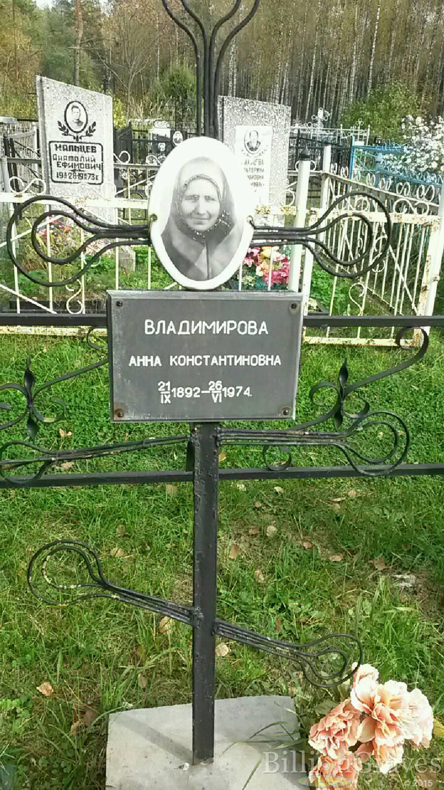 Владимирова Анна Константиновна
