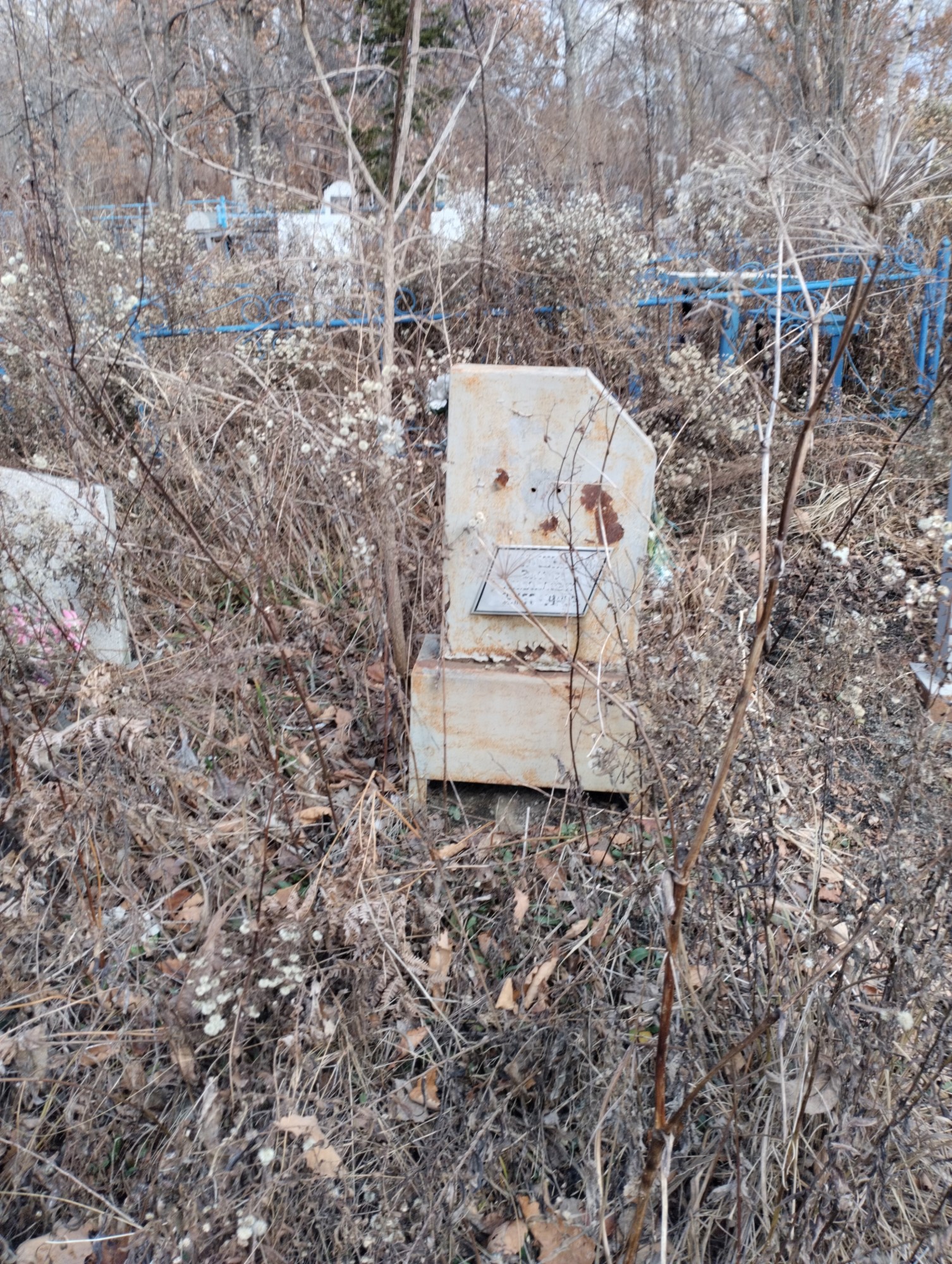 Кошкин Виктор Михайлович
