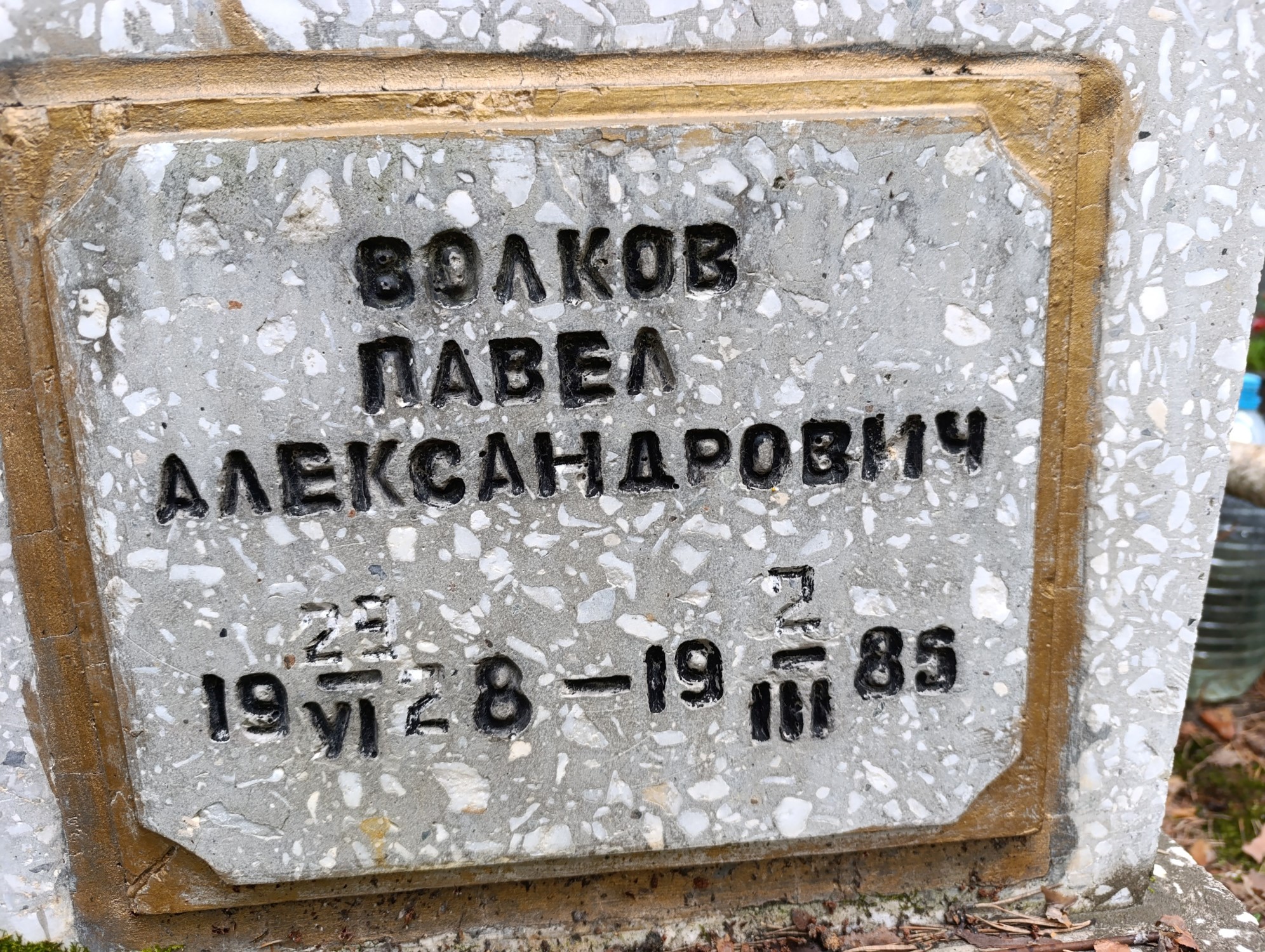 Волков Павел Александрович