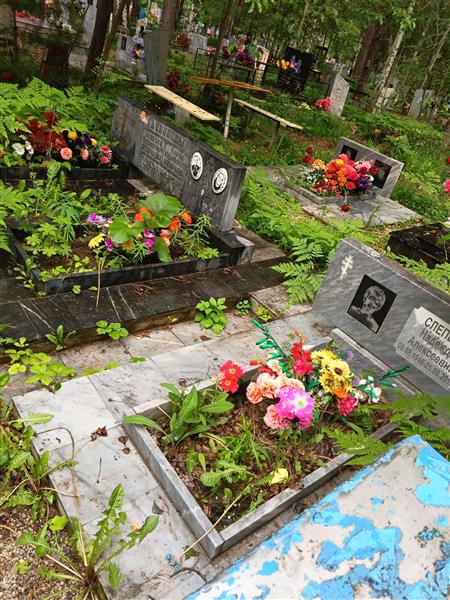 Слепых Надежда Алексеевна
