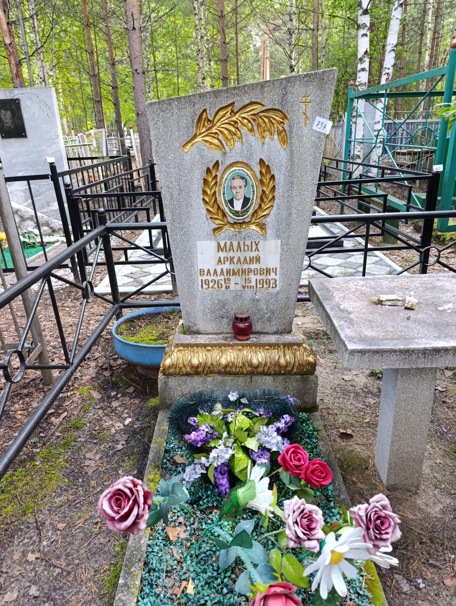 Малых Аркадий Владимирович