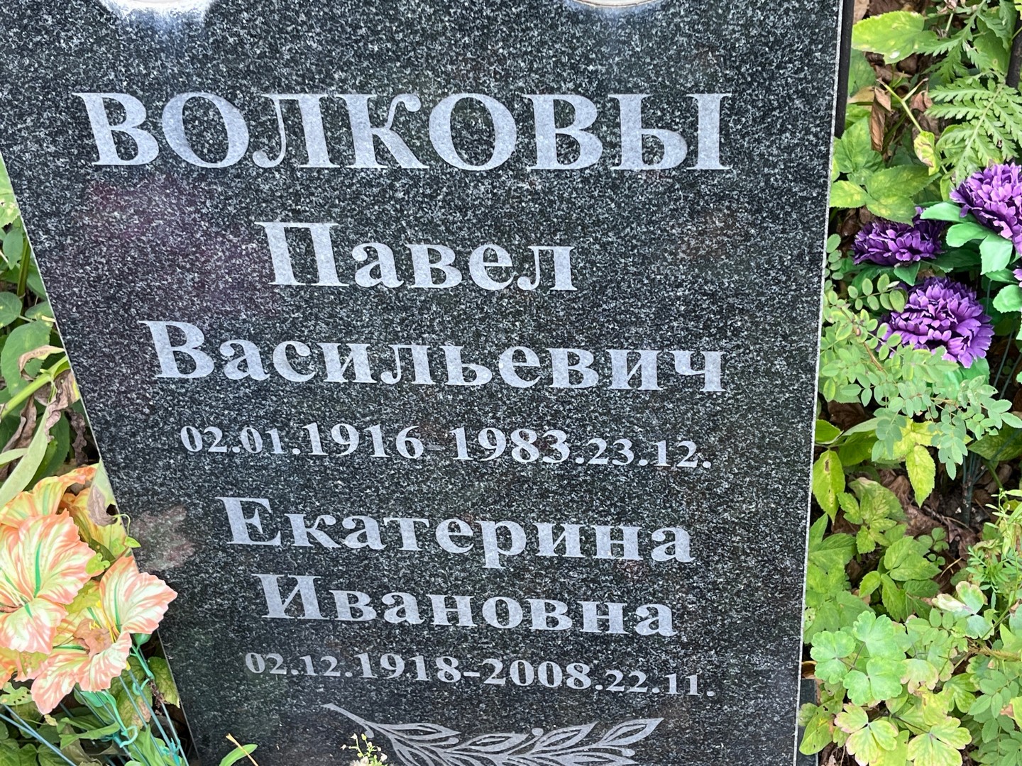 Волков
