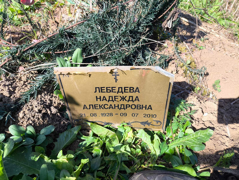 Лебедева