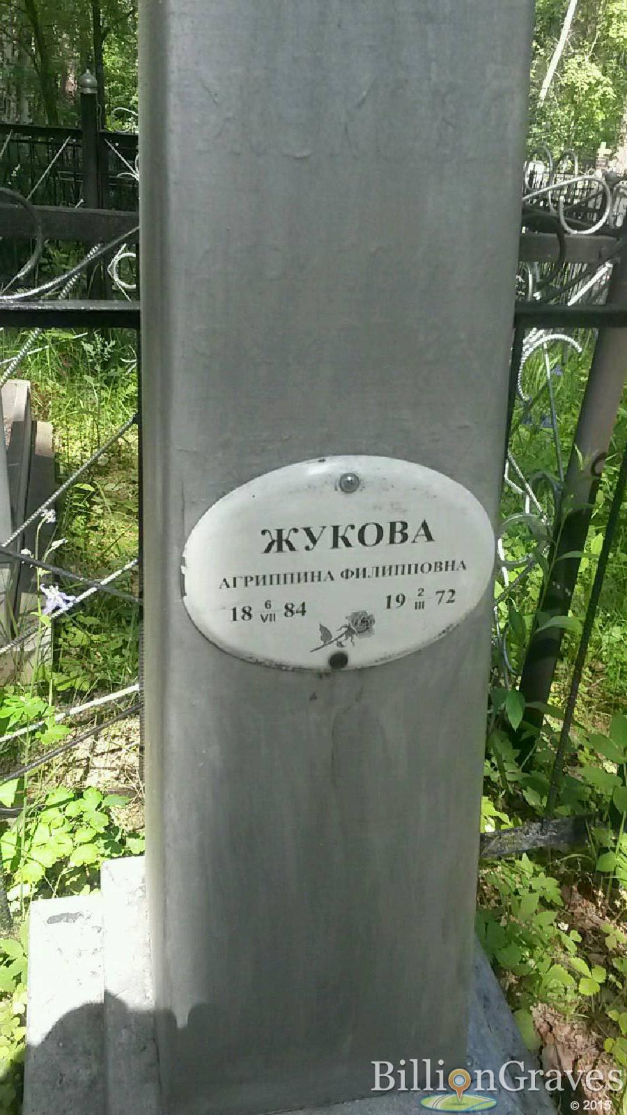 жукова агриппина филипповна