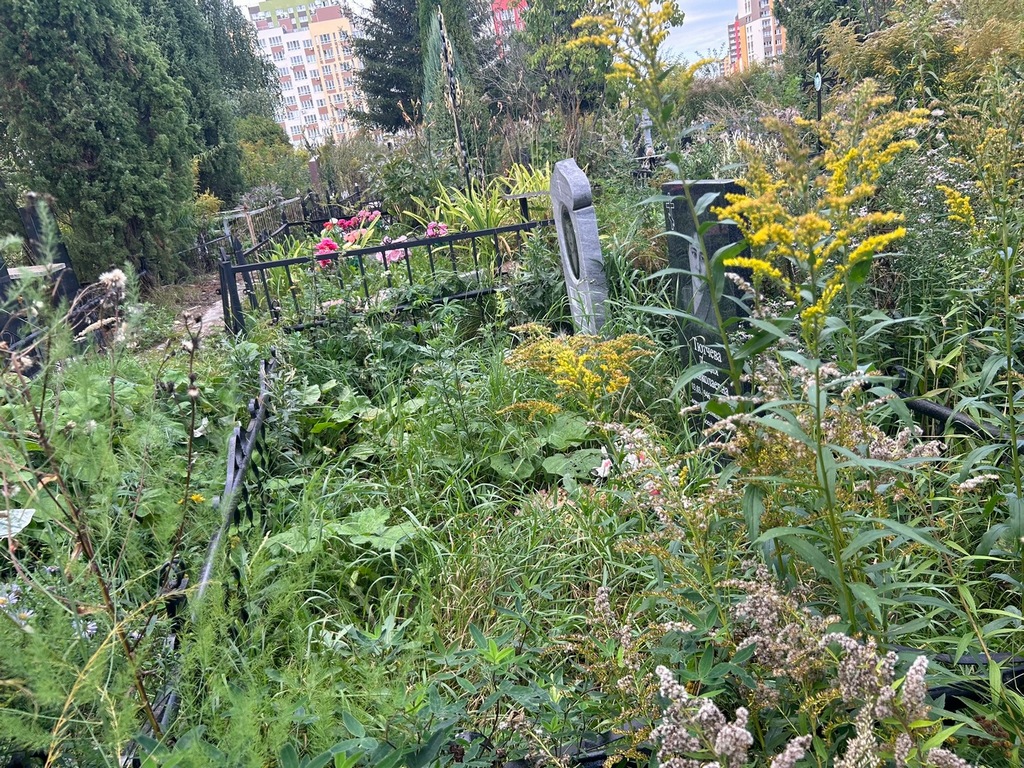 Тютчева Елена Александровна