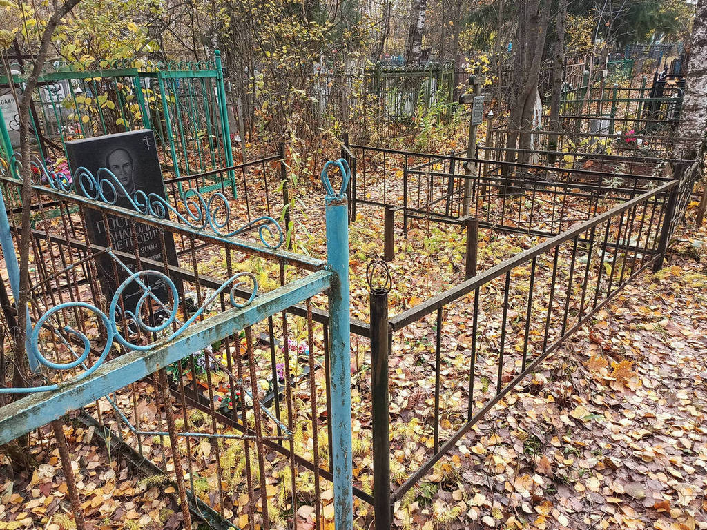 Поспелов Анатолий Петрович