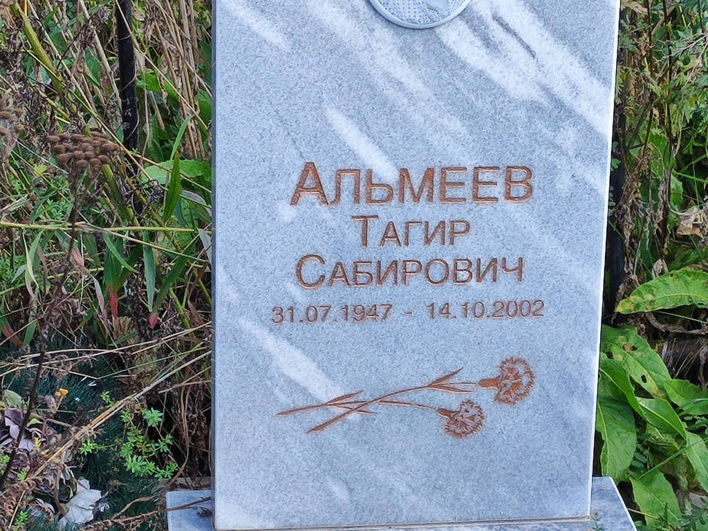 Альмеев Тагир Сабирович