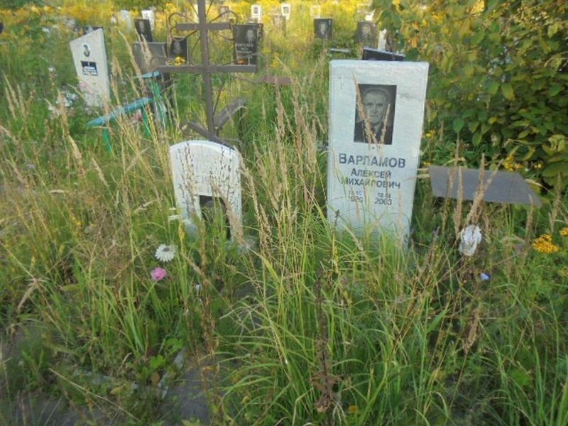 Варламов Алексей Михайлович