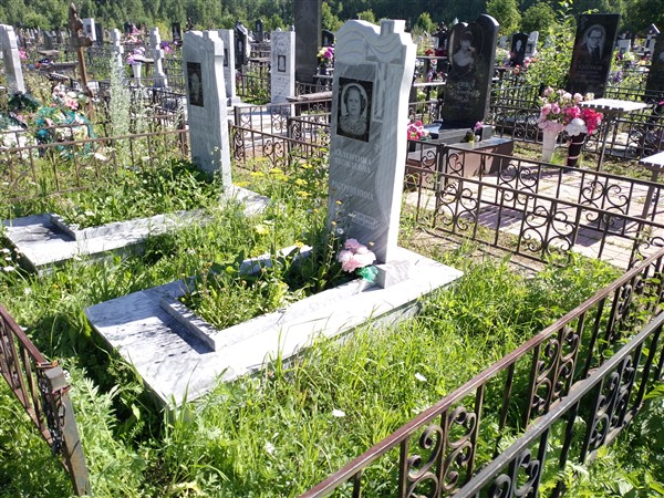 Растрепенина