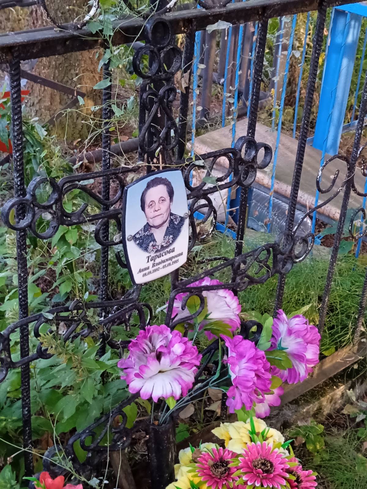 Тарасова Анна Владимировна