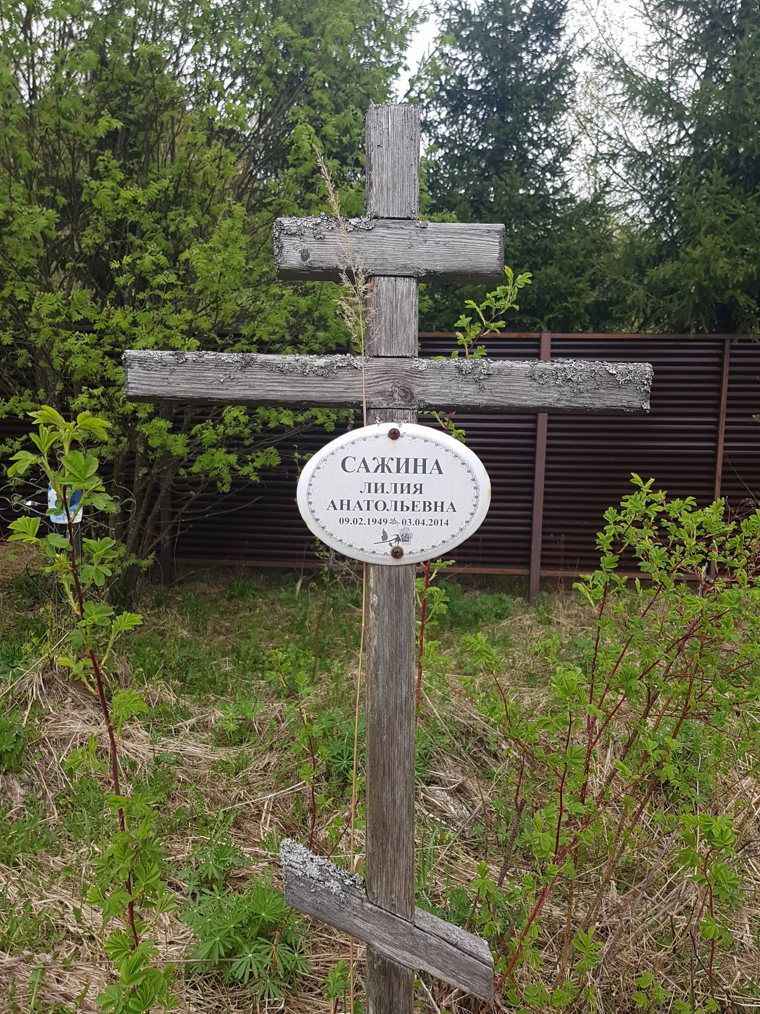 Сажина Лилия Анатольевна