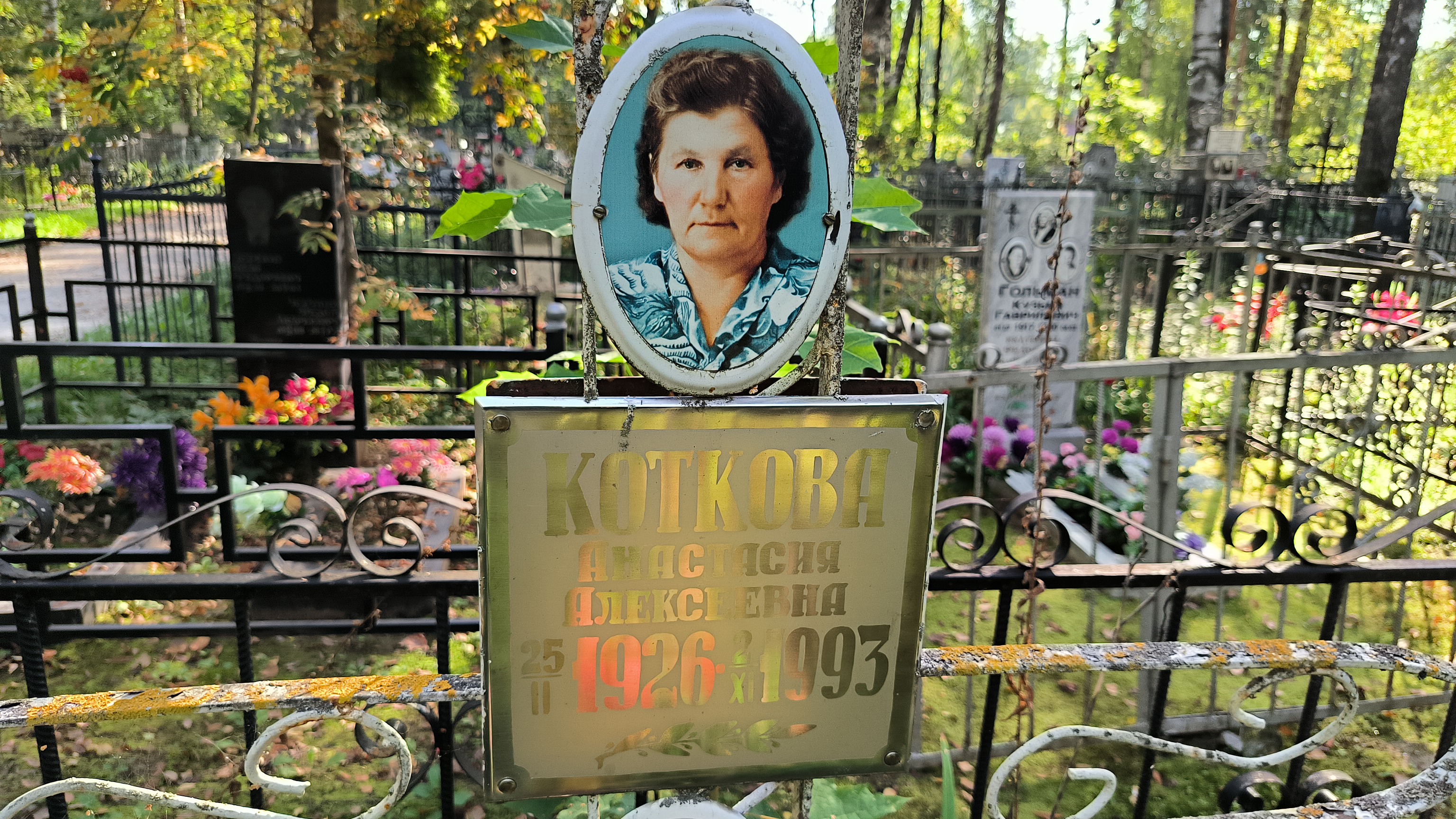 Коткова Анастасия Алексеевна