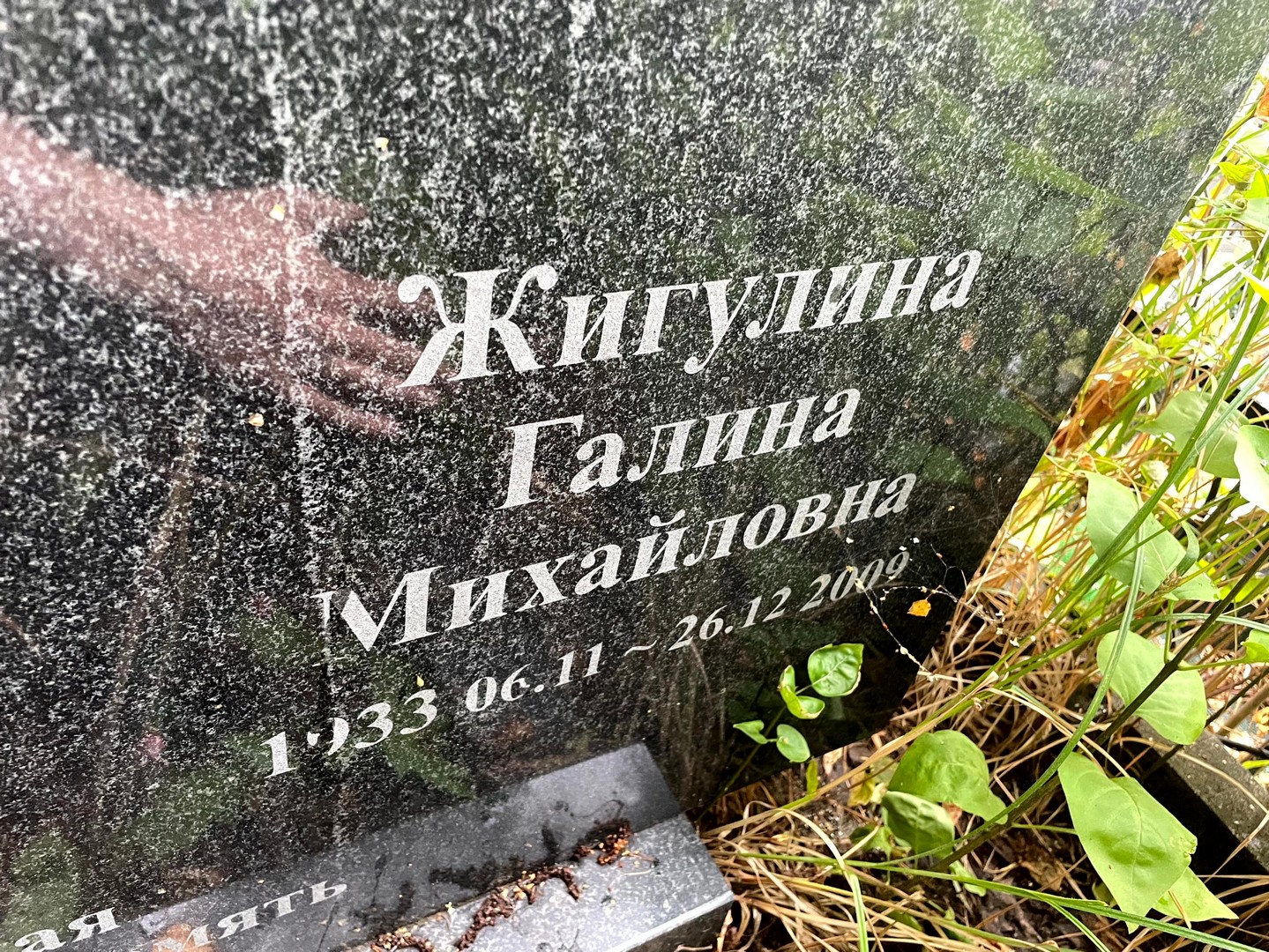 Жигулина