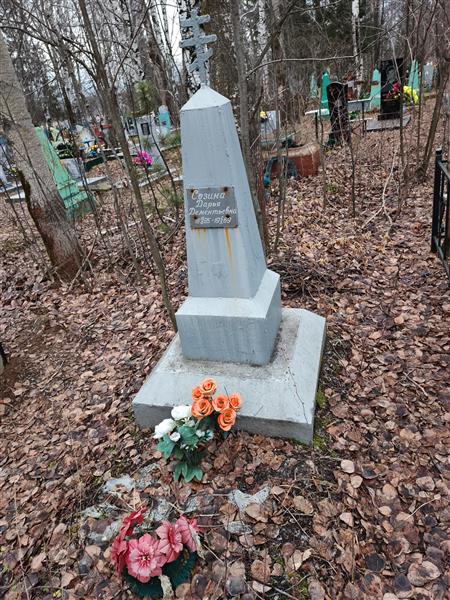 Созина Дарья Дементьевна
