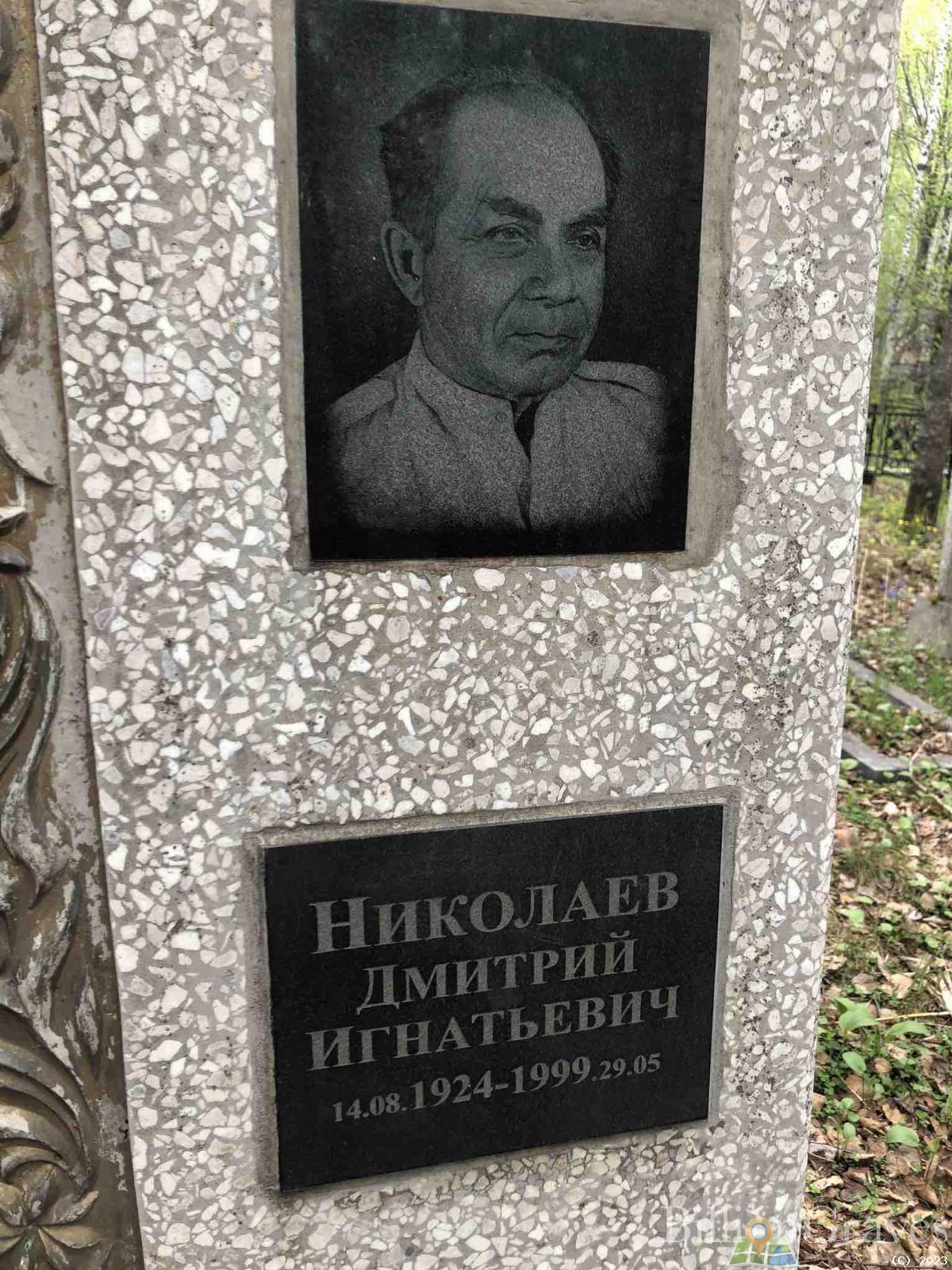 Николаев Дмитрий Игнатьевич