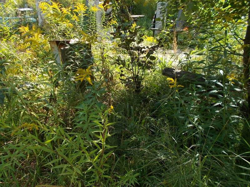 Большаков Сергей Викторович