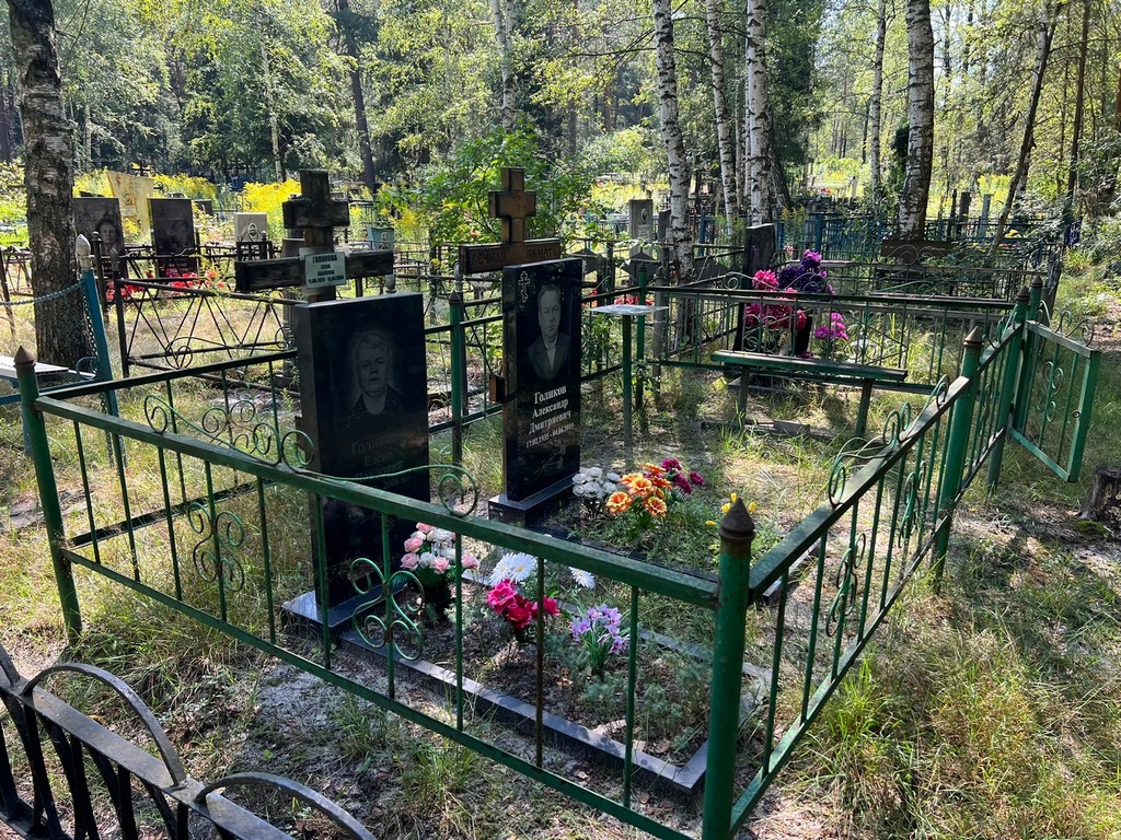 Голиков Александр Дмитриевич
