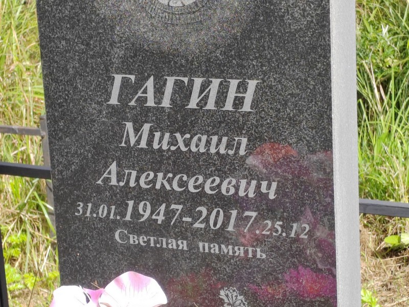 Гагин