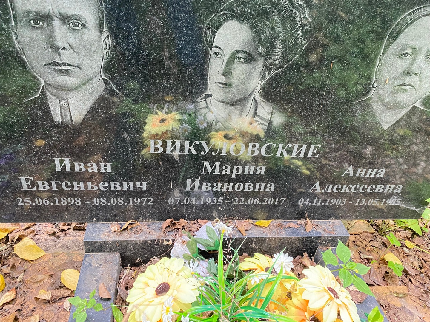 Викуловская