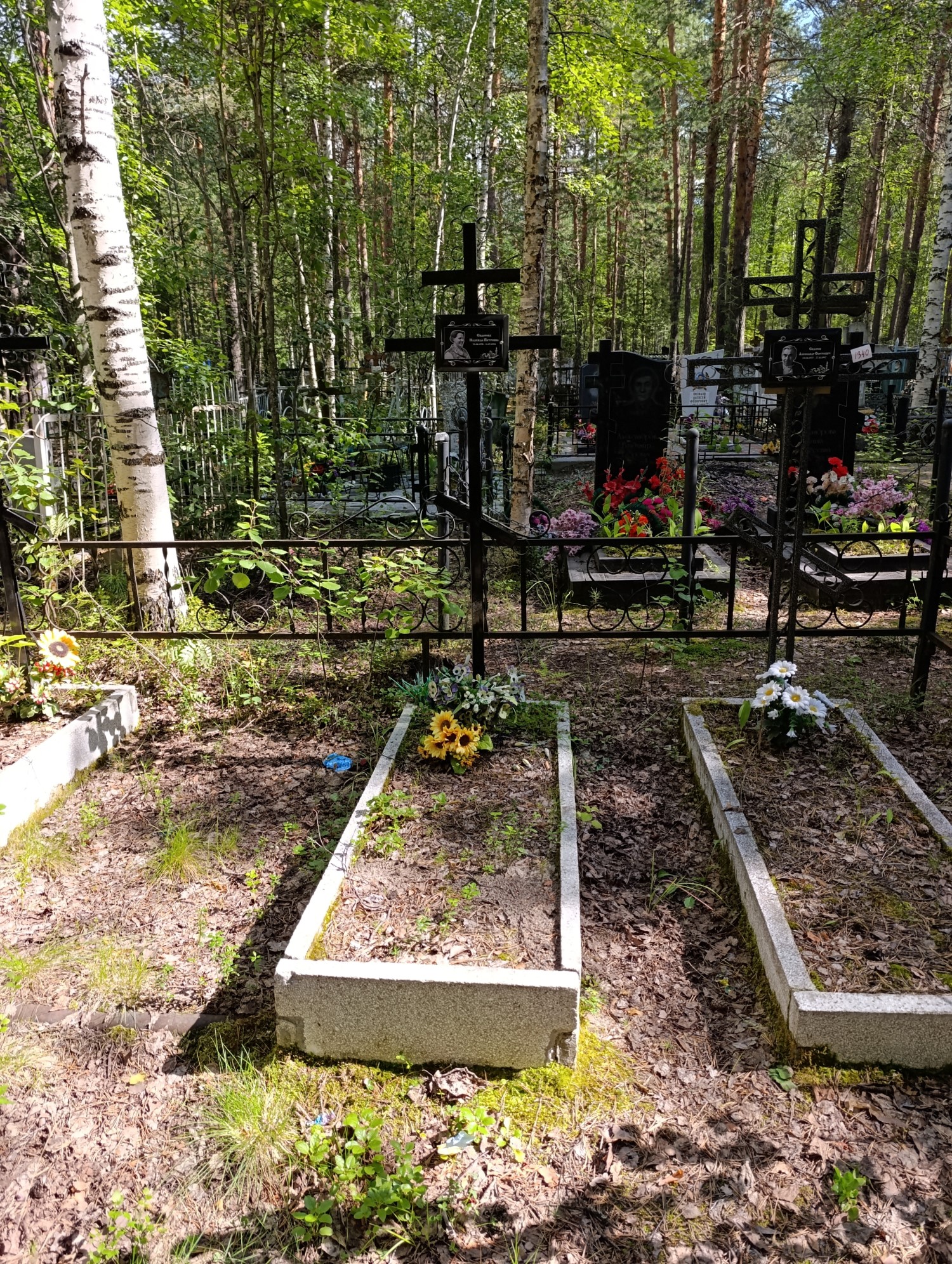 Сидорова Надежда Петровна