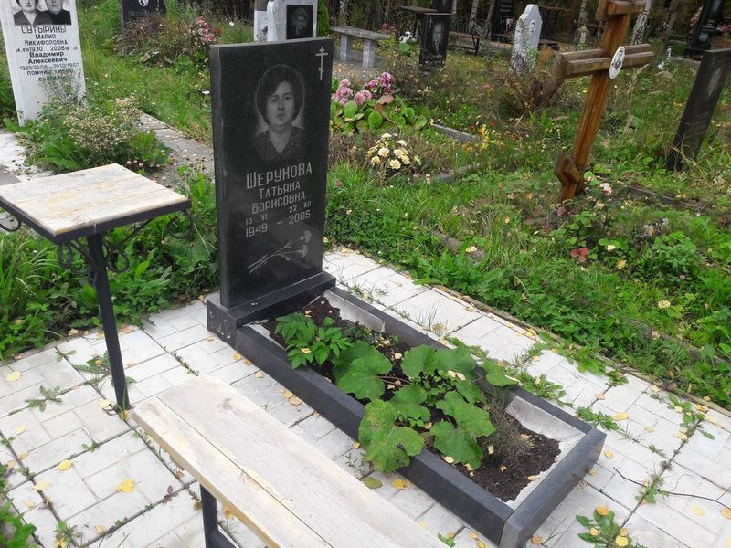 Шерунова Татьяна Борисовна