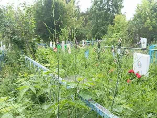 Ноговицын Николай Анатольевич