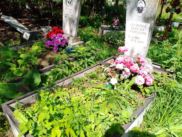 Сидорова Пелагея Николаевна