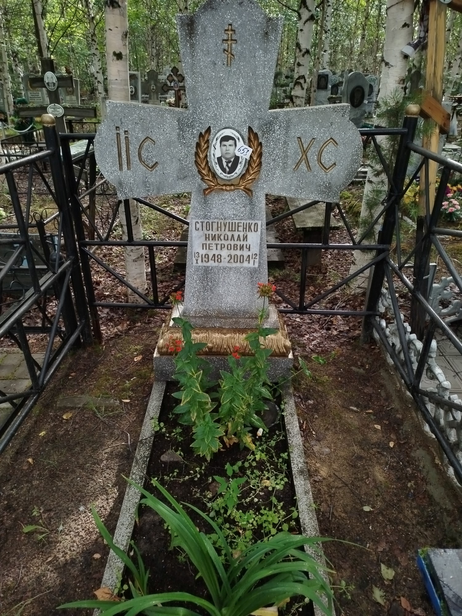 Стогнушенко Николай Петрович