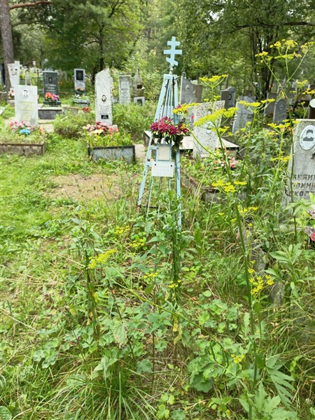 Калявина Анна Степановна