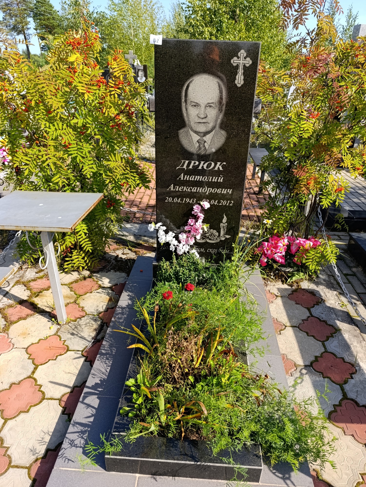 Дрюк Анатолий Александрович