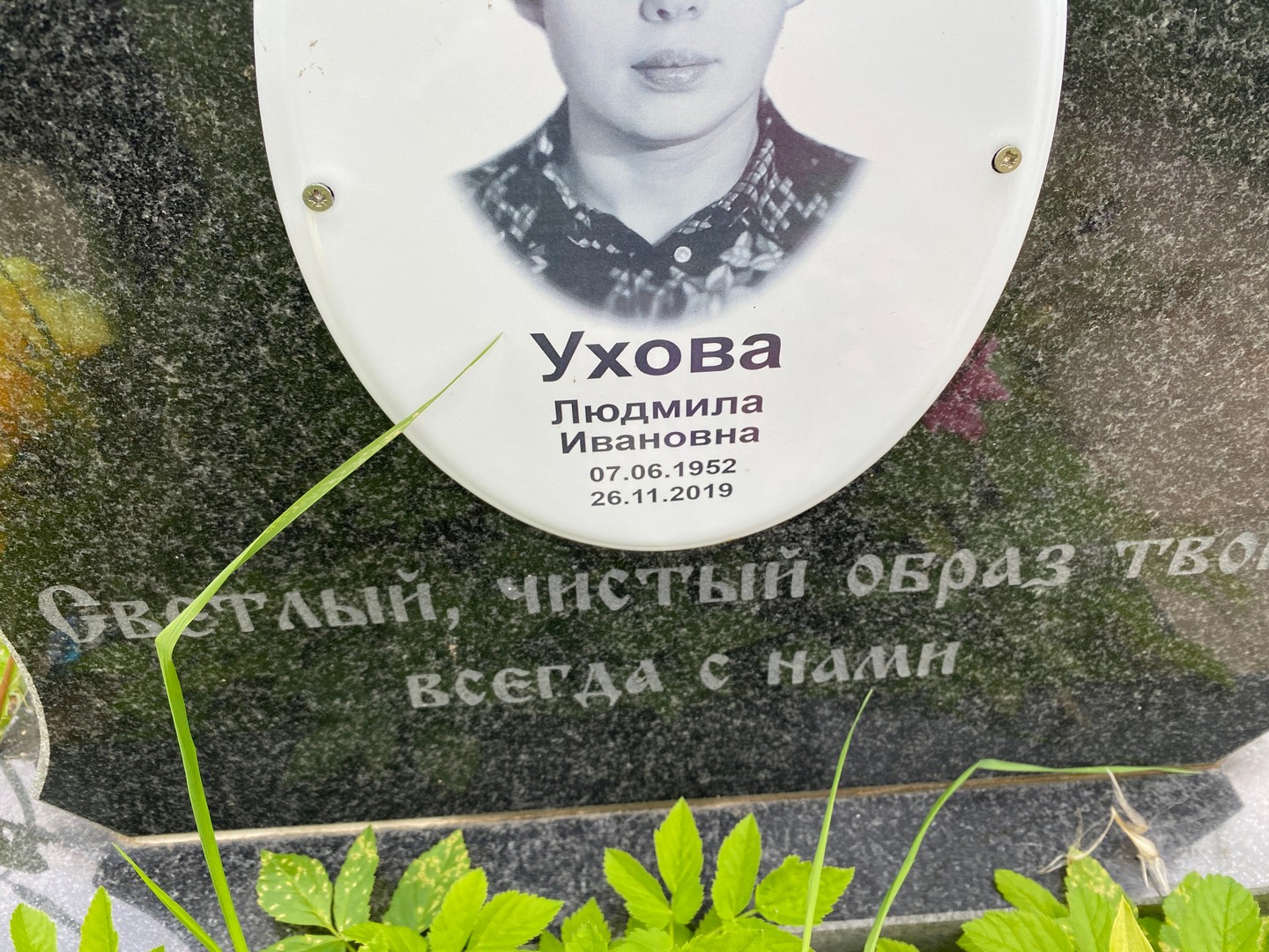 Ухова