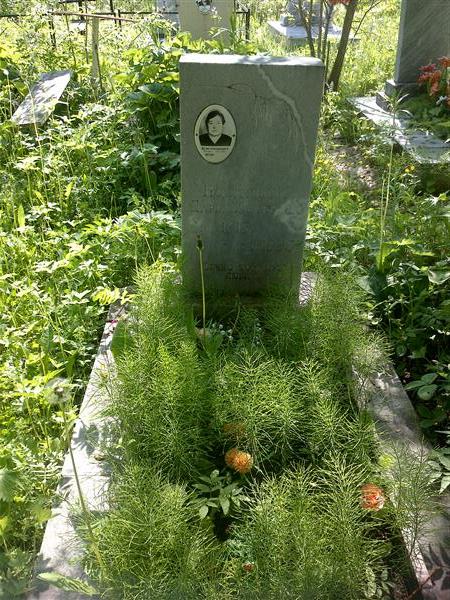 Кострицина Дарья Ивановна
