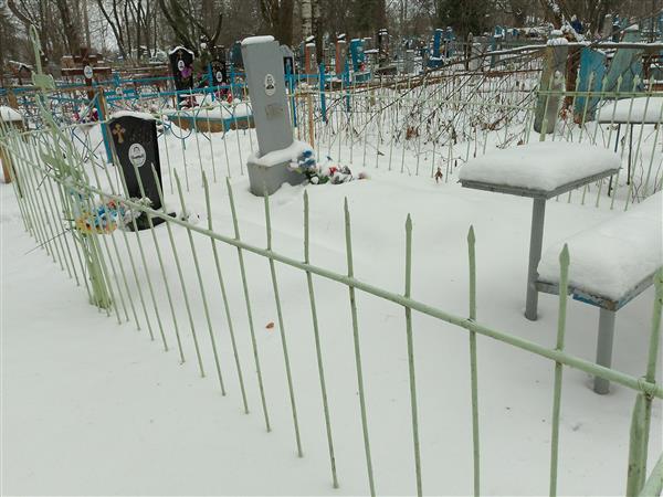 Спицын Михаил Дмитриевич